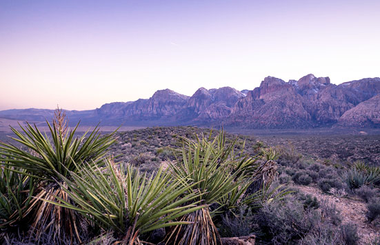 Funjet las vegas packages Travel Leaders | Mall of Abilene | eVacationStore offers fantastic deals on vacation packages to travel destinations around the world! Save on vacations and vacation packages worldwide; book your vacation today with our professional agents.